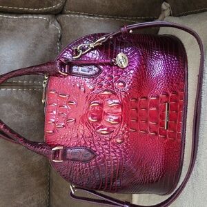 Brahmim Ombre Purse
